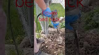 flower bed hack  #shortsvideo #social media #gardening #flowers #peas