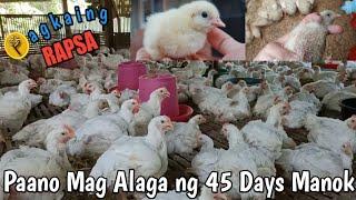 PAANO MAG ALAGA NG 45 DAYS MANOK | HOW TO RAISE BROILER CHICKEN | STEP BY STEP | PART 1