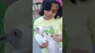 Rabbit #ayushi #viral #alipurduar #youtubeshort #shortvideo #viralshort #funny