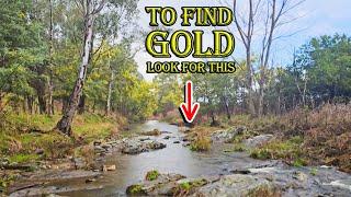 This is the No.1 Mistake Gold Prospectors Make | 4 Places You Should Pan For Gold