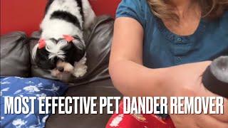 Most Effective Dust and Dander Remover for Dogs, Cats, Birds l Triggers of Allergic Reaction