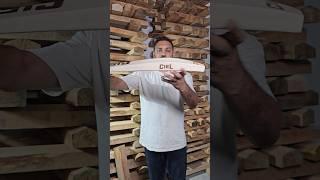 Massive Sweet Spot Cricket Bat for Power Hitters | Full Profile Player Edition Bat by Ciel Sports