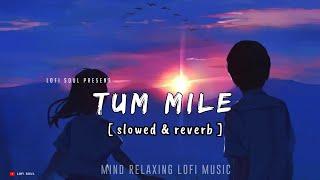 Tum Mile Dil Khile [ slowed + reverb ] Instagram Trending Lofi Song - @LofiSoul-official73