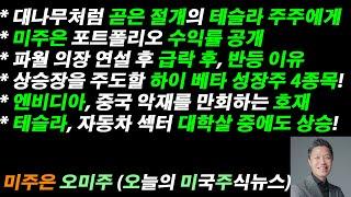 [오늘의 미국주식뉴스] 미주은 포트폴리오 수익률 공개 / 대나무처럼 곧은 절개의 테슬라 주주 / 테슬라, 자동차섹터 대학살 중에도 상승 / 상승장을 주도할 하이 베타 성장주 4종목