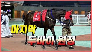 글로벌히트의 마지막 두바이 경주! 알막툼 클래식(G2) H/L