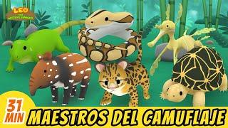 Maestros del Camuflaje Episodio Compilación (Español) - Leo, El Explorador | Animación - Familia