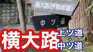 【無謀】古代の幹線道路・横大路を歩いてみた【前編】～上ツ道交差点から中ツ道交差点まで～