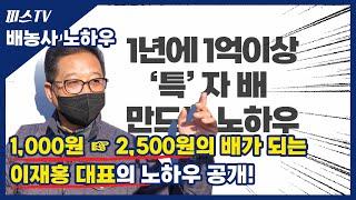 1년에 1억이상 벌 수 있는 '특'자 배 만드는 노하우~! l 남들 1,000원 받을때 이렇게하면 2,500원 이상 벌 수 있습니다. ㅣ피스TV