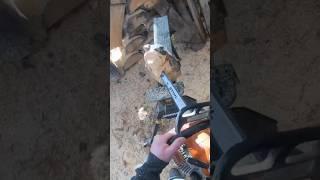 Want to carve a cute little bear ? #chainsawcarving  #chainsaw #beginnerstutorial