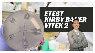 Microbiology: Antibiotic Sensitivity Testing -- Etest, Kirby Bauer (KB), Vitek