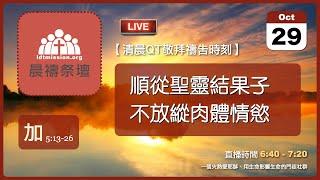 2024-10-29【清晨 QT 敬拜禱告時刻】順從聖靈結果子不放縱肉體情慾〔加拉太書EP12〕