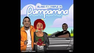Blake Ft. Triple M - Pampamina (Official Audio)  #blakezambia #pampamina #triplem