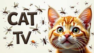 CAT GAMES | Keep Your Cat Happy and Healthy with Fun Episode 17 | 3HOURS 