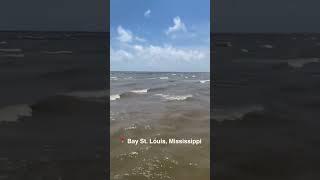 Alligator spotted peeping at beachgoers on Mississippi Gulf Coast