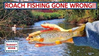 Roach Fishing an English Stream