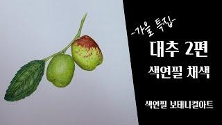 색연필기초/대추 2편/색연필 채색편/색연필 보태니컬아트 /다양한 초록색 만들어보자요!!/colored pencils botanical art