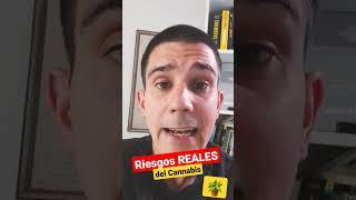 ️Los RIESGOS OCULTOS del CANNABIS (Esto Ocurre en tu CUERPO)