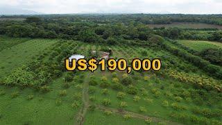 VENTA de FINCA $190,000 TERRENO de 6.5 MANZANAS | LEÓN, NICARAGUA