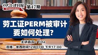 劳工证PERM被审计 要如何处理？《#移民法律月报 》46期2022.12.07