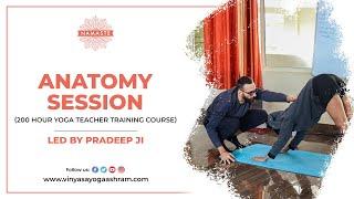 Yoga Anatomy with Pradeep Ji  - Vinyasa Yoga Ashram