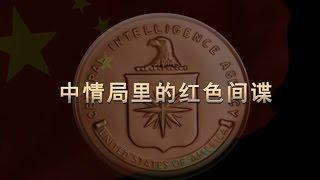 解密时刻：中情局里的红色间谍