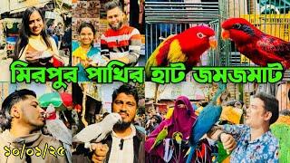 রোদ ঝলমলে মিরপুর ১ পাখির হাট | দামী পাখির সমারোহ | Mirpur 1 Pakhir Hat #viralvideo @MurshedPets