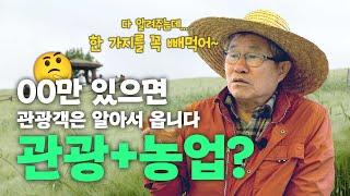 농사도 잘 짓고 마케팅도 하려면 혼자서는 힘들어요. 동업자가 있으면 반은 성공하는 경관농업