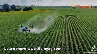 Why Add a FlyingAg DJI T40 Sprayer Drone to Your Farm in 2024? Farmer Insights on his decision.