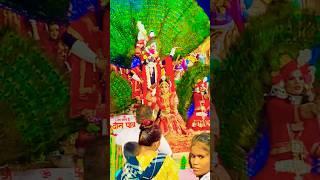 Best Jhanki Performance Radha Krishna #shortsfeed #shorts #shortvideo #short