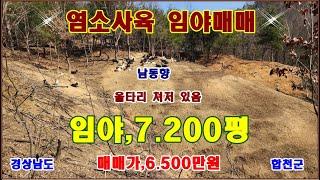 물번,708번) 급매매,염소사육 임야7.200평 대폭 인하6.500만원에 매매합니다ㅡ 경사도15~20도 차량진입, 울타리 설치, 물탱크1개 옹림지역,임업용산지,남동향입니다,