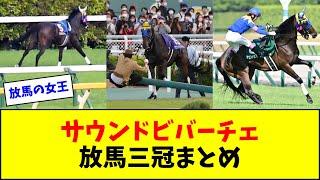 【繁殖入り記念】サウンドビバーチェの放馬三冠まとめ