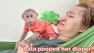 So Funny! Lala poops a lot in her diaper and gets special care from Thuy