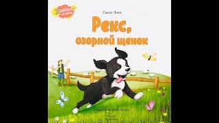 #сказкинаночь