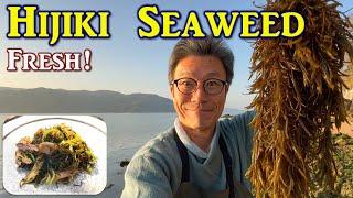 Hijiki Seaweed, Natural Japanese Taste of Spring