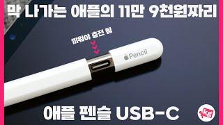 막 나가는(?) 애플의 11만 9천원짜리 애플 펜슬 USB-C 사 왔습니다