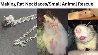 Rat Jewellery. Small Animal Rescue. Pet Jewellery.