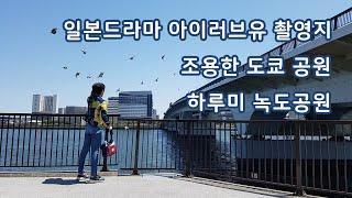 일본드라마 아이러브유 촬영지 도쿄 하루미 녹도공원 산책