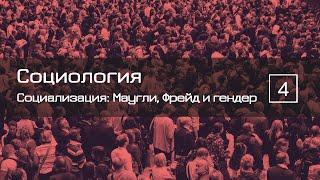 Социализация: обобщенный другой, теория зеркального Я, тотальные институты — СОЦИОЛОГИЯ 4 — ТЕЛОС