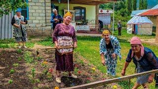 КЫРГЫЗСТАН! Настоящая ЖИЗНЬ В АИЛЕ! Юрта КОЧЕВНИКОВ! Бешбармак, Баурсак! Счастливая жизнь.