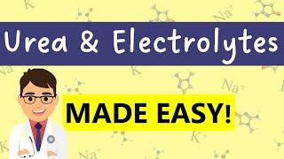 Urea & Electrolytes (U&Es) interpretation |  7 MINUTE COMPLETE GUIDE