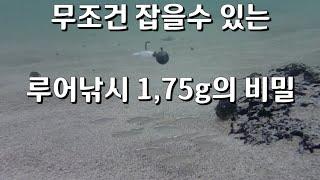 [럭맨의 쉬운 루어낚시] 2편. 무조건 잡을 수 있는 루어낚시 1.75g의 비밀