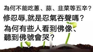 為什麼不能吃蔥、蒜、韭菜等五辛？是否只要信願具足，散念也能往生？其品位又如何呢？缺乏往生西方極樂世界的強烈意願，怎麼辦？為什麼很多人一看到佛像或聽到佛號就會哭？忍氣吞聲，就是修忍辱嗎？