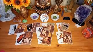 VAI ACONTECER EM 48HS E EM 72HS VOVÓ CIGANA FALA TUDO! #tarot #tarotdehoje #viral