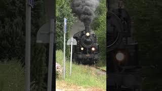 S1 1916 auf der Angelner Dampfeisenbahn