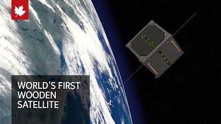 Green space: Japan to test world's first wooden satellite