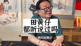 王敬之老师，田黄石与田黄仔怎么区分#鑑寶#文物#鑑定