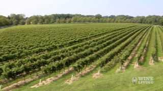 Pennsylvania Wine Tours: Karamoor Estate Winery