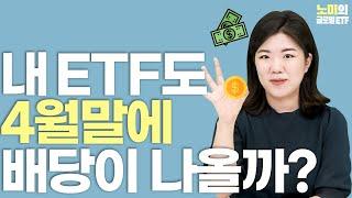 ETF 분배금의 모든 것‍ 세금 줄이는 법까지 알려드립니다 | 노미의 글로벌 ETF