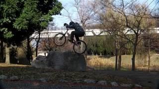 DAYBREAK TRIAL 2015.1