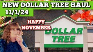 Check Out My Awesome Dollar Tree Finds From 11/1/24!